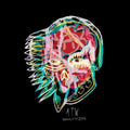 the album cover for All Them Witches - Nothing As The Ideal [Limited Edition Galaxy Green and Black Mix LP]