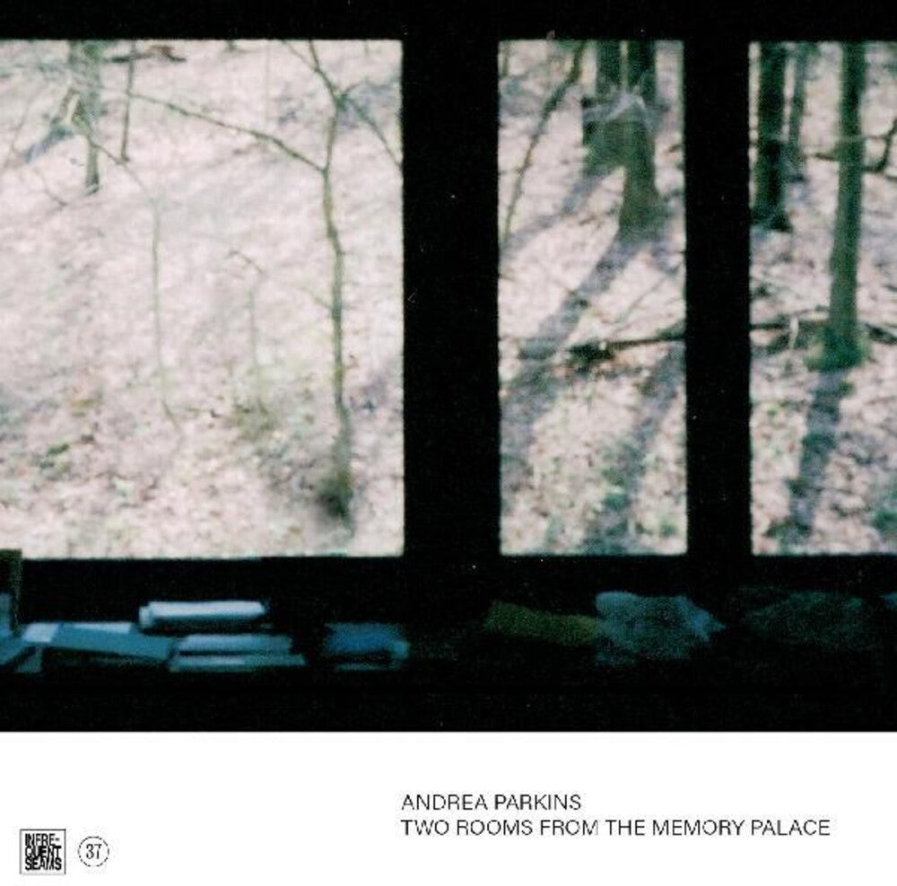 the album cover for Andrea Parkins - Two Rooms From The Memory Palace