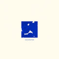 the album cover for Geographer - Down And Out In The Garden Of Earthly Delights