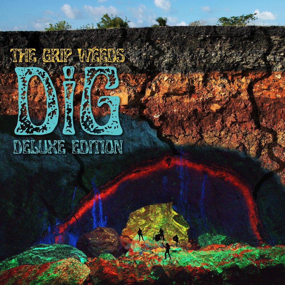 the album cover for The Grip Weeds - DiG [LP]