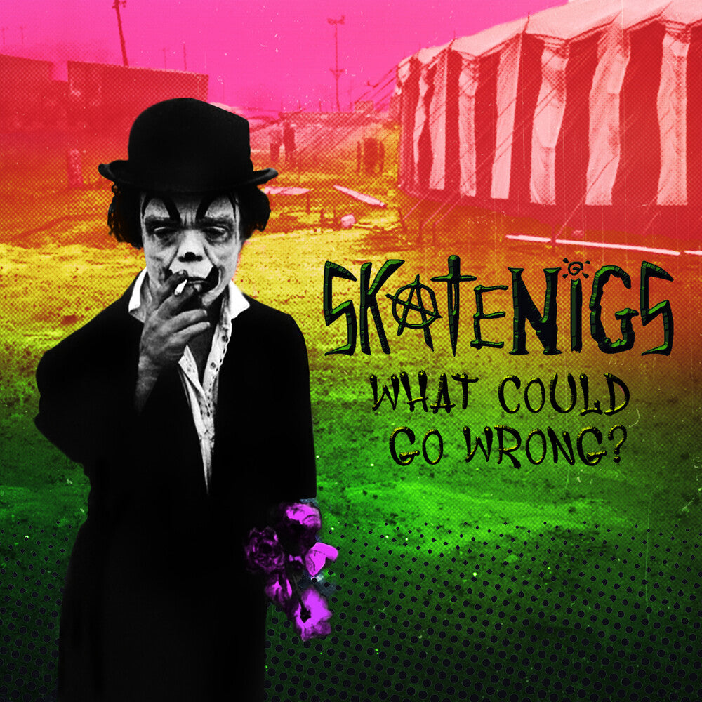 the album cover for Skatenigs - What Could Go Wrong