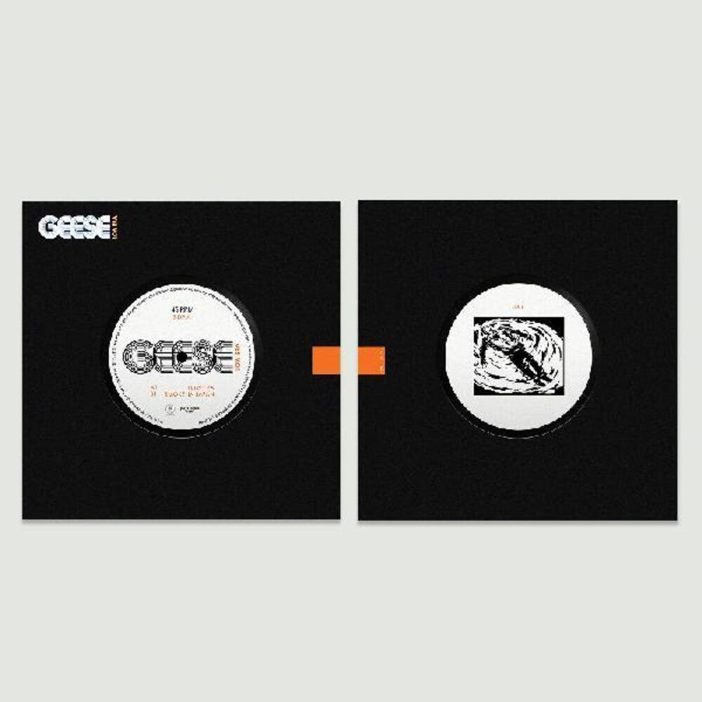 the album cover for Geese - Low Era / Smoke In Japan [Vinyl Single]