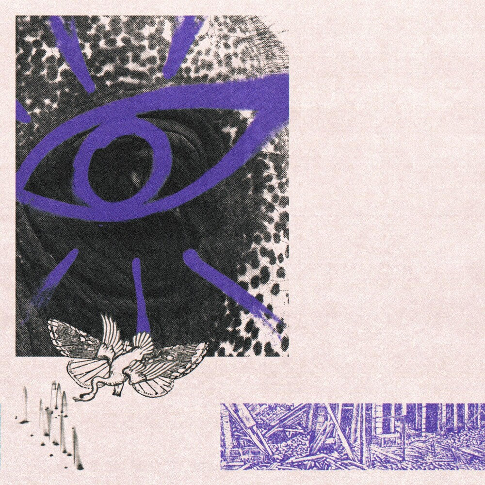 the album cover for Hippo Campus - LP3