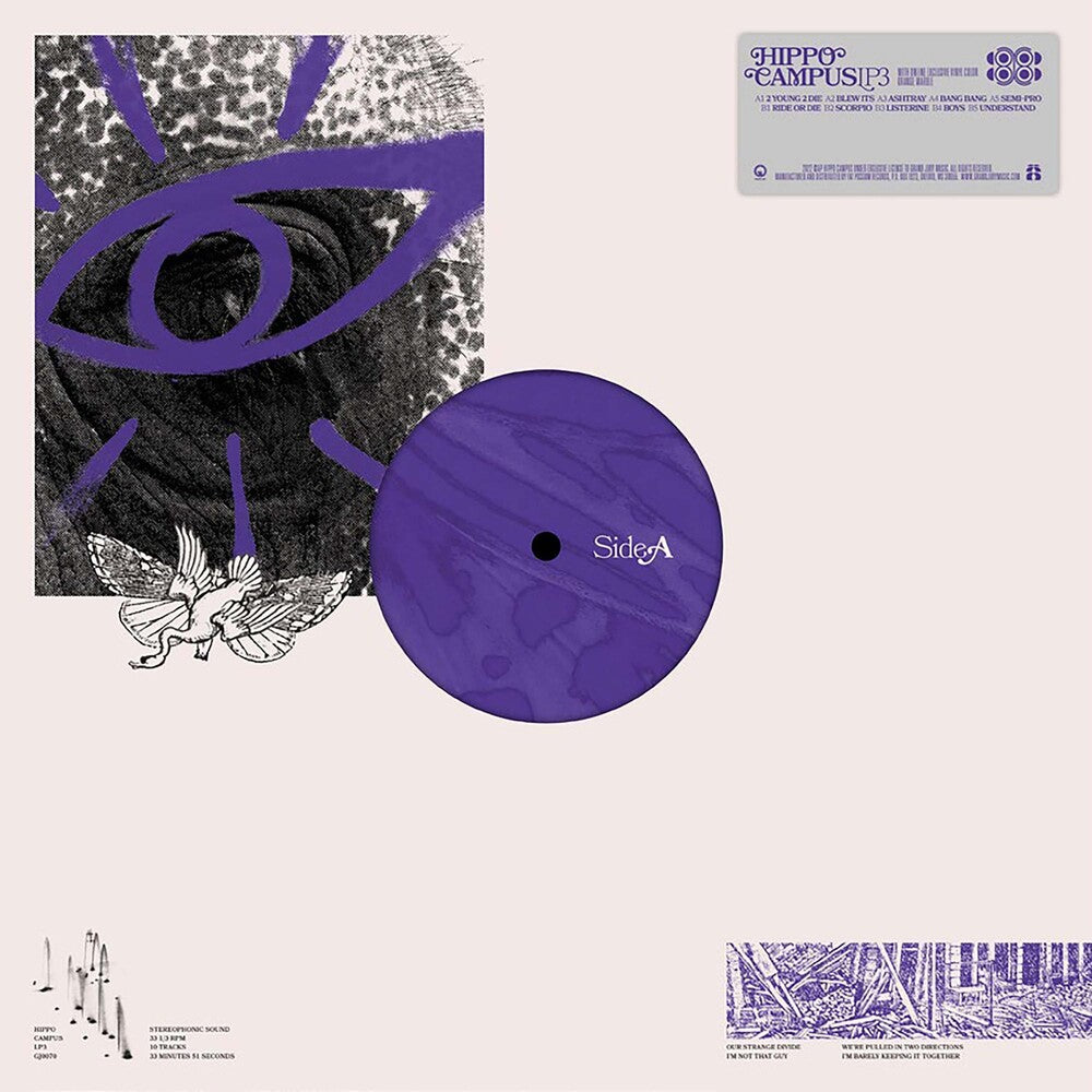 the album cover for Hippo Campus - LP3 [Indie Exclusive Limited Edition Opaque Purple Swirl LP]