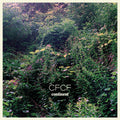 the album cover for CFCF - Continent [Clear Vinyl]