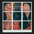the album cover for Dashboard Confessional - All The Truth That I Can Tell [Indie Exclusive Limited Edition Transparent Dark Blue & Green LP]