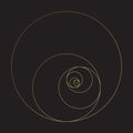 the album cover for Ocean - Phanerozoic Live