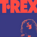 the album cover for Marc Bolan  & T. Rex - Alternative Singles Collection