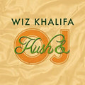the album cover for Wiz Khalifa - Kush & Orange Juice [LP]