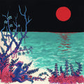 the album cover for glass beach - the first glass beach album [Import LP]