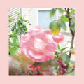 the album cover for The Reds, Pinks and Purples - Summer At Land's End [Indie Exclusive Limited Edition Yellow 2LP]