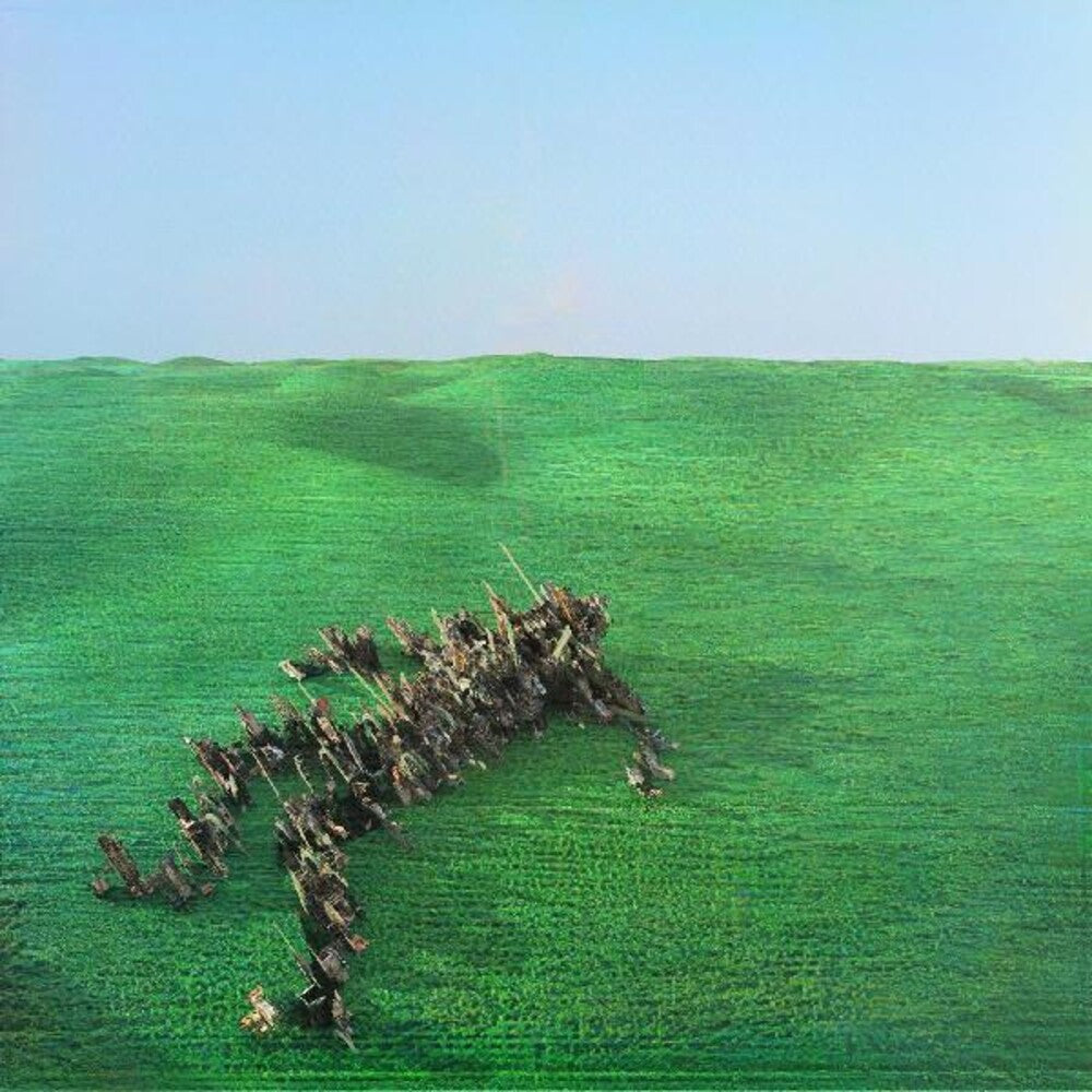 the album cover for Squid - Bright Green Field