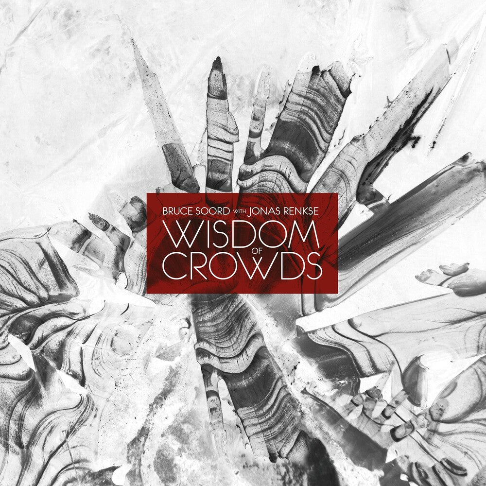 the album cover for Bruce Soord / Renkse,Jonas - Wisdom Of Crowds (140gm Vinyl)