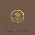 the album cover for Mary Lattimore - Collected Pieces: 2015-2020 [Gold Ripple 2LP]