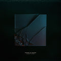 the album cover for Houses Of Heaven - Silent Places (Silent Red & Black Swirl) (Blk)