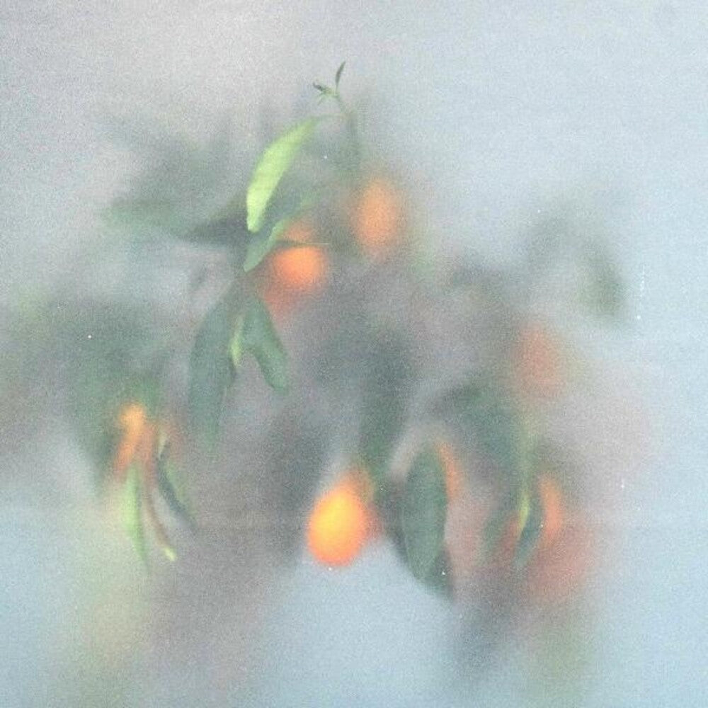 the album cover for U-Ziq & Mrs Jynx - Secret Garden