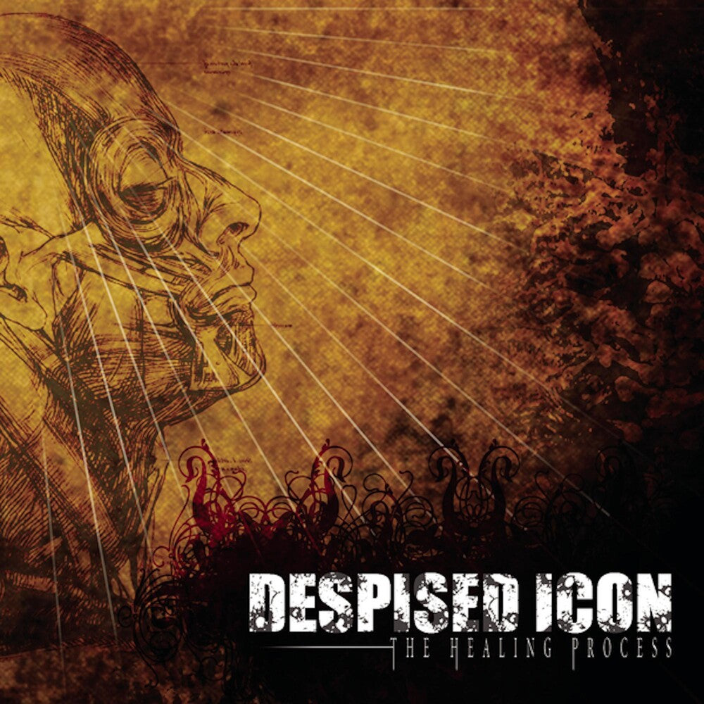 the album cover for Despised Icon - Healing Process (W/Cd) [Limited Edition] [Reissue]