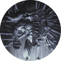 the album cover for Danzig - Danzig 5: Blackacidevil [Limited Edition Picture Disc LP]