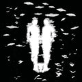the album cover for Lebanon Hanover - Ellen Allien Remixes (Uk)