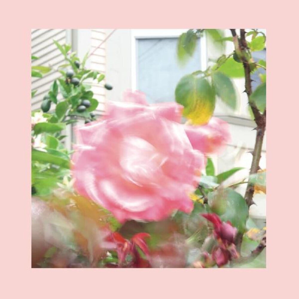 the album cover for The Reds, Pinks and Purples - Summer At Land's End