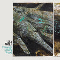 the album cover for Sea Wolf - Through A Dark Wood [Deluxe]