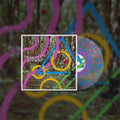 the album cover for Bears In Trees - Everybody Else Smiled Back