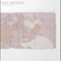 the album cover for Tindersticks - PAST IMPERFECT the best of tindersticks ’92 - ’21 [Limited Edition 4LP]