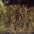the album cover for Pluralone - Wile B/W Remembered [Purple Vinyl Single]