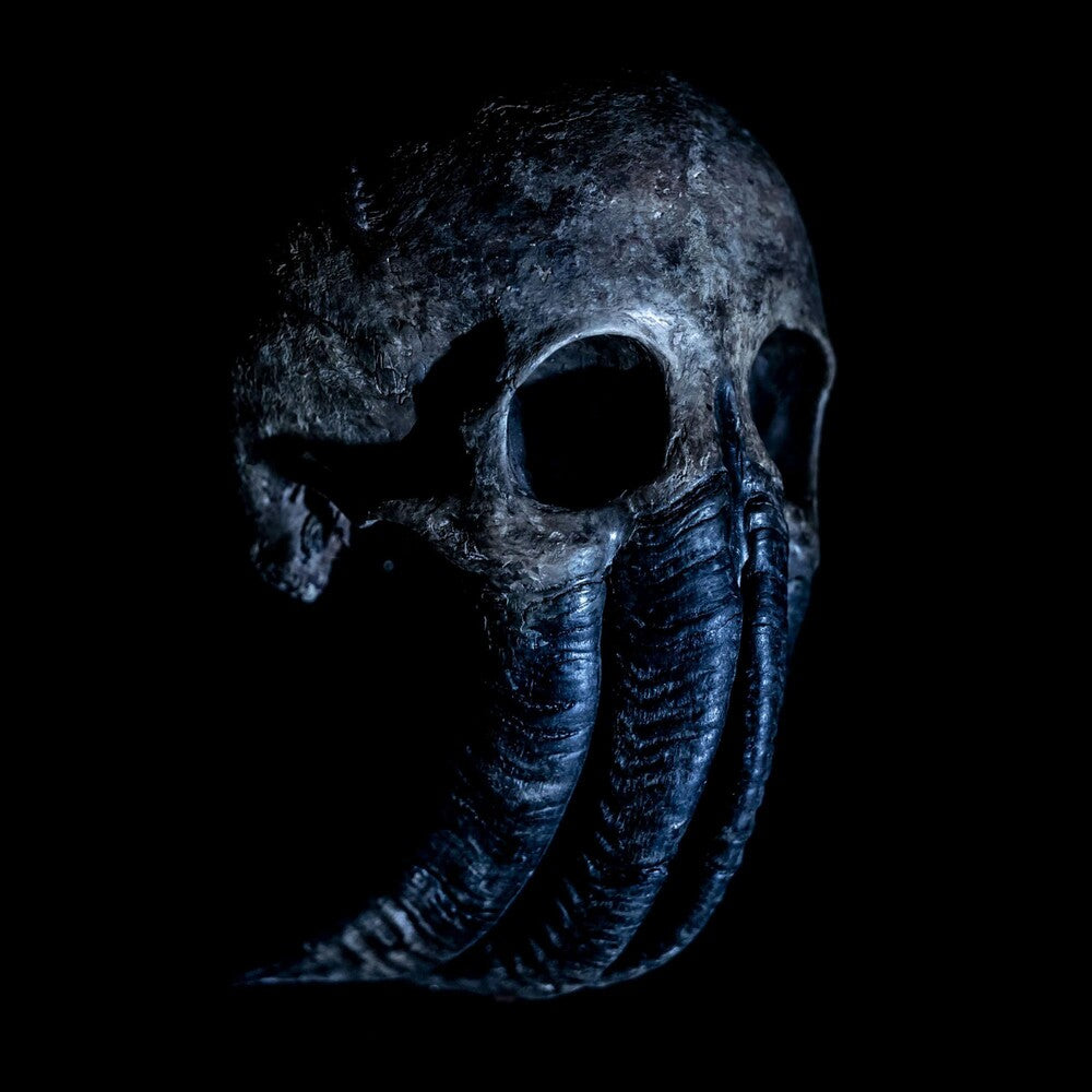 the album cover for Absent In Body - Plague God [LP]
