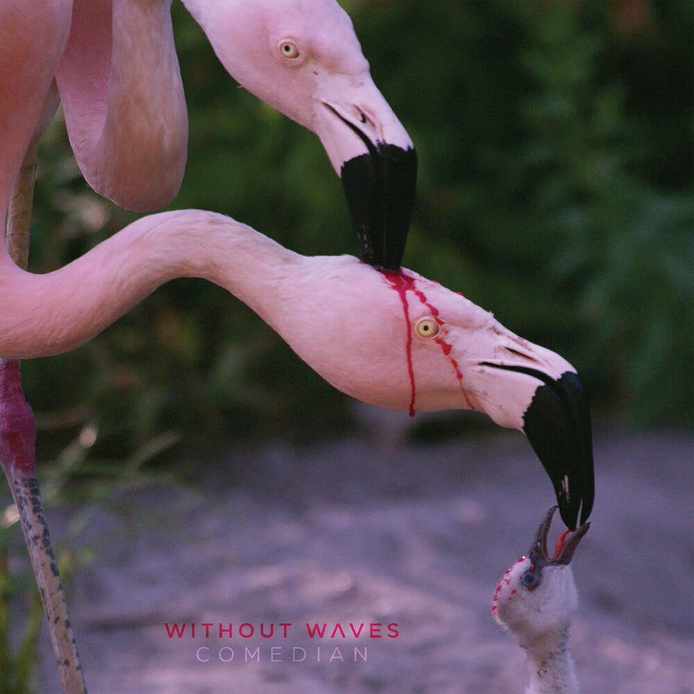 the album cover for Without Waves - Comedian
