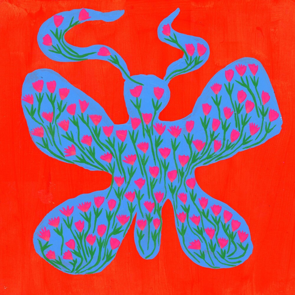 the album cover for Dehd - Blue Skies