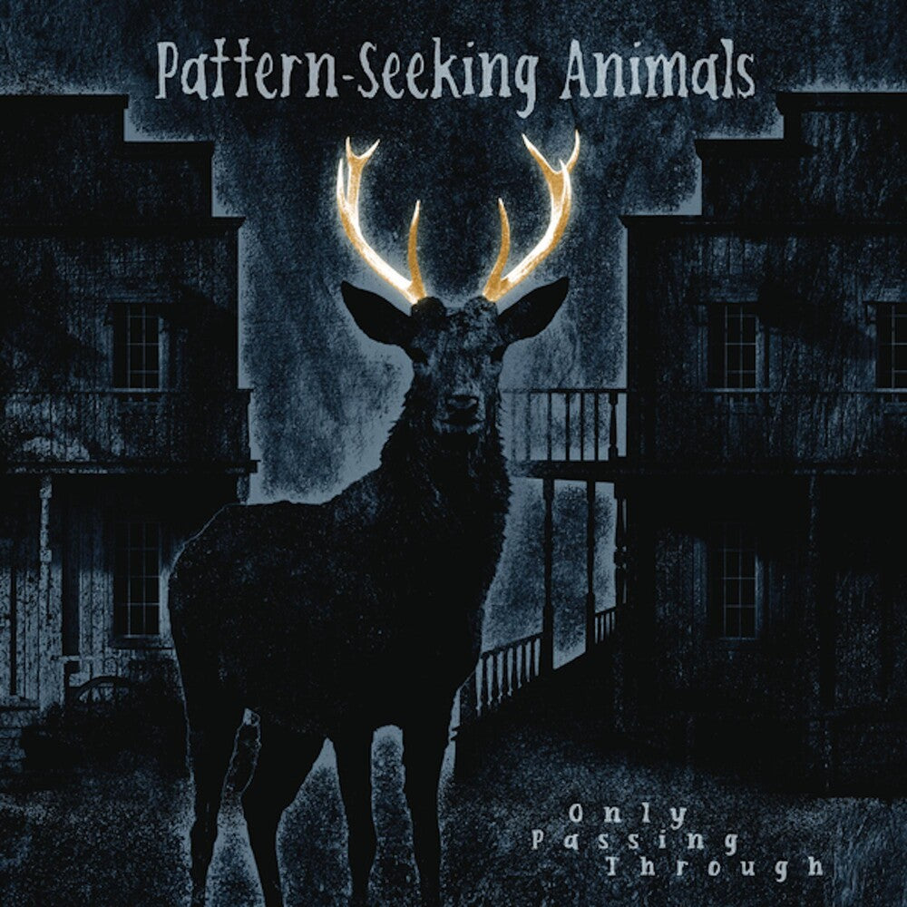 the album cover for Pattern-Seeking Animals - Only Passing Through