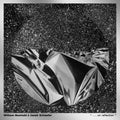 the album cover for William Basinski & Janek Schaefer - . . . On Reflection