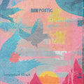 the album cover for Raw Poetic / Damu The Fudgemunk - Laminated Skies (Uk)