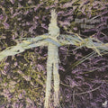 the album cover for Matt Deighton - Villager [Reissue]