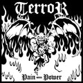 the album cover for Terror - Pain Into Power [LP]