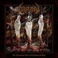 the album cover for Vahrzaw - The Trembling Voices Of Conquered Men