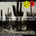 the album cover for Wonderful World Of Depressing Country Music / Var - Wonderful World Of Depressing Country Music / Var