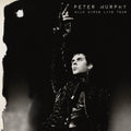the album cover for Peter Murphy - Wild Birds Live Tour [Purple & Black 2LP]