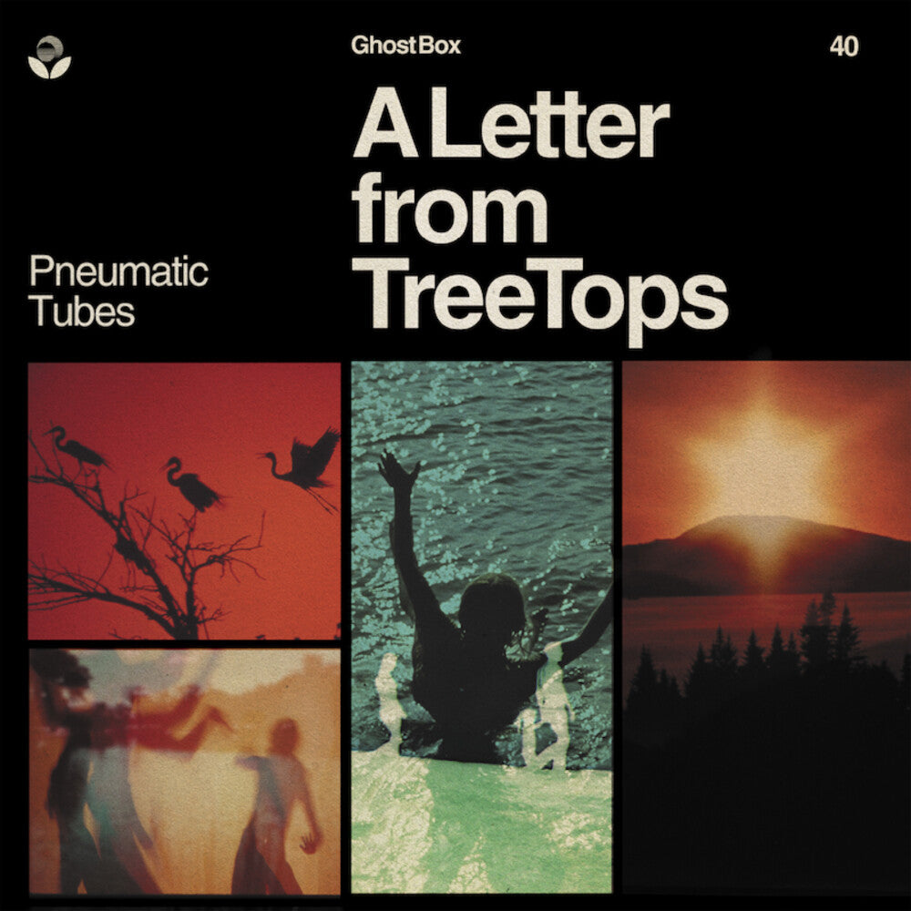 the album cover for Pneumatic Tubes - Letter From Treetops (Can)