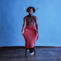 the album cover for Shamir - Heterosexuality [LP]