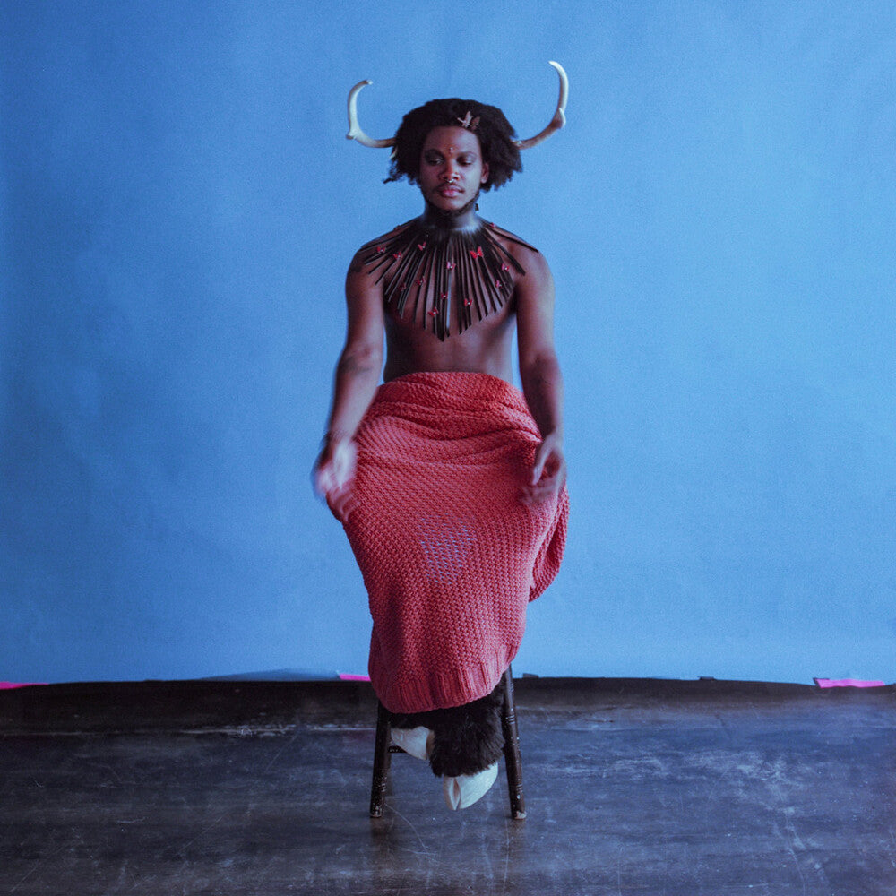 the album cover for Shamir - Heterosexuality [LP]