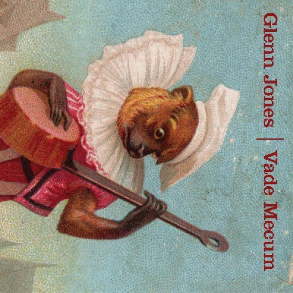 the album cover for Glenn Jones - Vade Mecum
