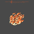 the album cover for Steven Bernstein & The Hot 9 - Manifesto Of Henryisms (Community Music, Vol. 3) [LP]