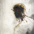 the album cover for Peter Gabriel - Passion: Music For The Last Temptation Of Christ