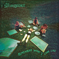 the album cover for Inflorescence - Remember What I Look Like