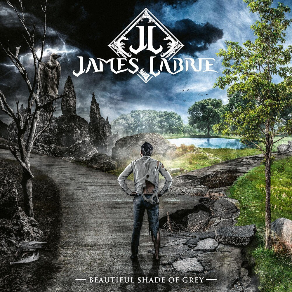 the album cover for James LaBrie - Beautiful Shade Of Grey