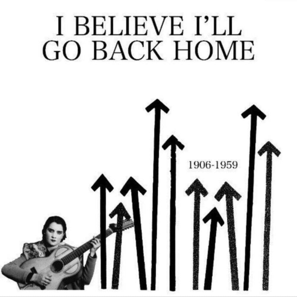 the album cover for I Believe I'll Go Back Home / Various - I Believe I'll Go Back Home / Various