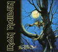 the album cover for Iron Maiden - Fear of the Dark