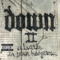 the album cover for Down - Down II